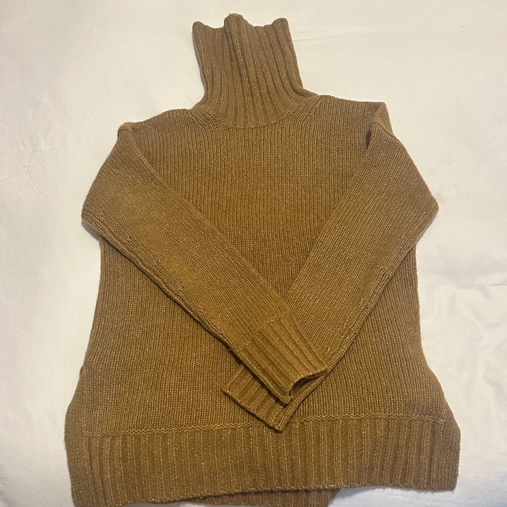 Everlane Tan Turtleneck Sweater